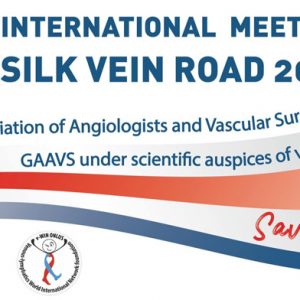 silk-vein-road-2024